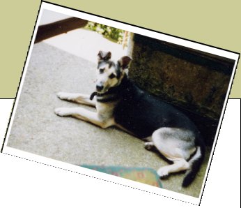 Bild : Rudi